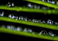 2024-11-30/8c29df3b-26bb-4ee1-bf67-68c816adf814