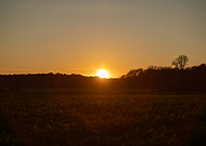 2024-12-01/46aaa8a3-788f-4ef2-9ec3-78b011f02f71