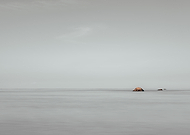 2024-12-02/da07957d-01e7-410b-9cc1-4423dee26ecb