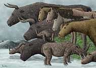 2024-12-04/02ec3370-858d-4237-89d9-65a942bfcae8