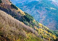 2024-12-04/30297b15-25cc-43d9-bd86-2de0c553b84d