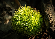 2024-12-05/2d3203e0-5039-4d48-9e56-e5419d82f8a7