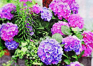 2024-12-06/bdf8f123-052e-46a1-a02c-667870c7fcd5