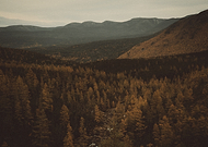 2024-12-09/92703417-495f-46eb-8f83-1a33e75ba258