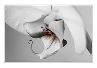 2024-12-11/29a2e78e-271c-4e24-8757-852c3bf410df