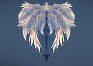 2024-12-11/9ba91abf-1e18-4702-92f3-e0553ee86b4b