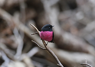 2024-12-13/e7e0e945-093d-4436-9de1-62d361a4b58e