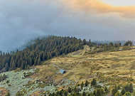 2024-12-15/d89a9dfa-ab0d-4da9-84de-9ad4ac66473f