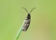 2024-12-15/efff67e2-c517-4d16-b7ff-4adfcde2869d