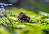 2024-12-16/bbad4ab6-0b9e-46b6-af46-4eccf89eac3d