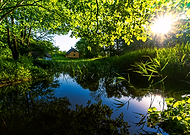 2024-12-17/f0905428-f2c8-45ed-ac50-fafbc228cf64