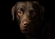 2024-12-18/1239fb62-d3ca-40b9-9afc-f6a151595b14