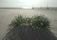 2024-12-18/7d6d986d-eb6a-4c86-a311-7f067e77390c