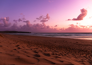 2024-12-19/8ba9eed8-8b16-429c-88bc-2fa1e4c3c882