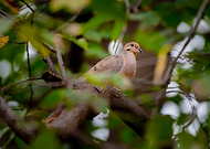 2024-12-20/a7d0936b-0902-47e5-8051-2d02a9626015