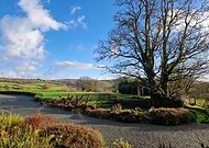 2024-12-20/b361e4fc-8c77-42c9-9702-56998a2ea317