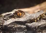 2024-12-22/7dbf9ae4-5ae6-47e6-9551-b01bf3093d02