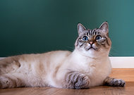 2024-12-24/efaabfd5-5417-4ae6-81e8-f6d08b7f6f9a