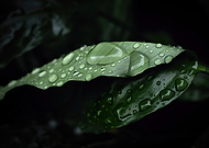 2024-12-25/f59e6f13-7bd1-4b42-aa91-15f053009a55