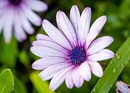 2024-12-27/8caa7c1b-bcf2-4fe5-9d23-5644b239f8e9