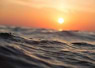 2024-12-29/298014b9-71f4-4ffa-8ddb-4435f03a67ed