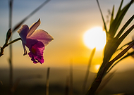 2024-12-30/0413ff29-303a-422f-85ed-fd70c5168dfe