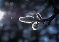 2024-12-30/57e76555-672a-48f8-9af5-ec1de5d4e4f6