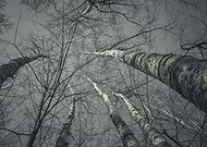 2024-12-30/74fae30d-c3cd-49c4-ac91-55391d40fedb