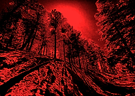 2024-12-31/effe17fb-d17e-4201-b6cb-e2ddc919284d