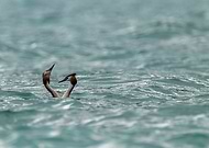 2025-01-01/8b0364da-b9ea-4f50-ac07-cbd28fd565df