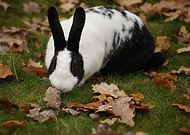 2025-01-01/ef03521f-6764-43b9-8cd5-abc1afe603e7