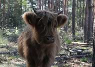 2025-01-02/345d9fc2-02be-4e53-96c8-b819c38d30e2