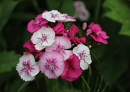 2025-01-02/48b0ed79-2c68-4318-ad8c-d183eface2df