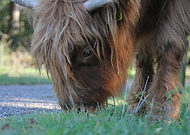 2025-01-02/96736295-8e98-45ac-9fc5-95e4a1334109