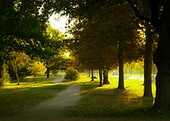 2025-01-02/c9c3276d-a44f-4466-a001-e440065cad1c