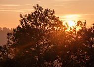 2025-01-02/d3b6dc52-475b-44c9-918f-f0e19341e87a