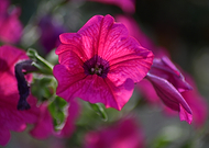 2025-01-03/b4bf4420-77ac-4294-bfa8-23de4ddcc41b