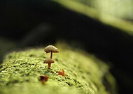 2025-01-04/3b5561c6-bf78-4949-814d-20a495f4ba98