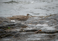 2025-01-05/98ff5bc9-df62-4135-a20d-d354a2943baf