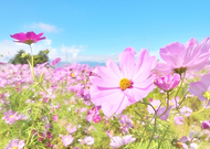 2025-01-05/a30d0511-b4d5-4757-8069-6bb4fc2f7eb8