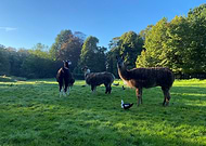 2025-01-06/1e317a97-d407-4d94-845d-c83490a52acb