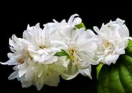 2025-01-06/6c396112-e83e-4224-84a1-4b5d96bac9c4