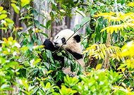 2025-01-10/308693a1-4f82-411a-b71b-50b9ea3aa710