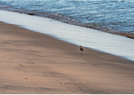 2025-01-10/5e057337-baa2-45d9-b507-0758f8cb53b5