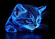 2025-01-11/af73158c-ed45-401c-aac1-2a520698a97f