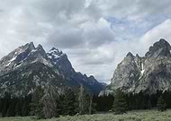 2025-01-12/adcb7371-9dee-4254-bba3-abc379032483