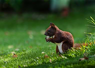 2025-01-13/165f7d63-342c-4d25-b9e7-9501450fda95