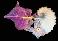 2025-01-13/bfcee889-3203-4284-82a6-eed5dabf8465