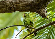 2025-01-13/eb8d7cd9-72d1-430c-8470-77d63c6ff137