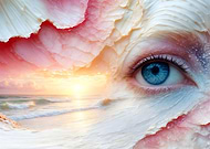 2025-01-15/ecdb827c-43e5-4ab0-8986-d110983ec323